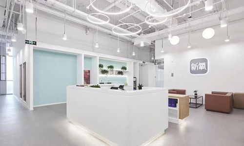 新氧入局咨询公关，品牌公关团队内部孵化新赛道